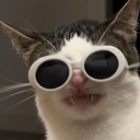 apatheticfaggotry avatar