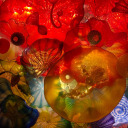 apathy--and--urgency avatar