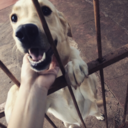 apenas-uma-em-um-milhao avatar