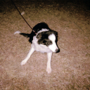 aperturesangel avatar