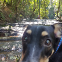 apesardeamores avatar