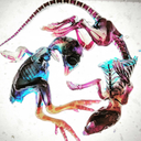 aphelion-necrology avatar