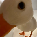 aphpandamagic avatar