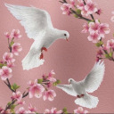 aphrodite-e-shrine avatar