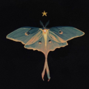 aphrodite-of-sparta avatar