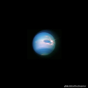 aphroditedreamer avatar