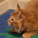 aphroditeinthestars avatar