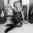 aphroditelove avatar