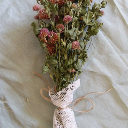 aphroditeslonging avatar