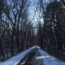 aphroditesuglyside avatar