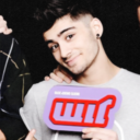 apirtateslifeforme-blog avatar