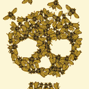 apisinfractus avatar