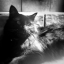 apixelwashere avatar