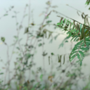 aplacetoputsomestuff avatar