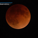 apllejack0115 avatar