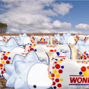 apocalypse-snom avatar