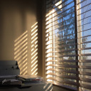 apocalypsekids avatar