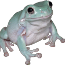 apocalypslater avatar