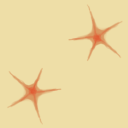 apocalyptic-nymph avatar