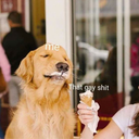 apocalypticapology avatar