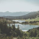 apocalypticdesire avatar