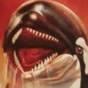 apocalypticorca avatar