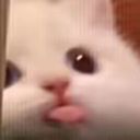 apollagraphics avatar