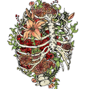 apollo-gy avatar