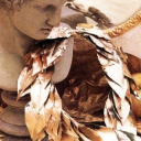 apollons-laurel avatar