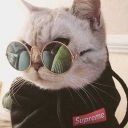 apollosdrawingsnstuff avatar