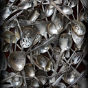 apollosfoodblog avatar