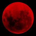 apologeticcactus avatar