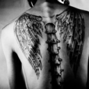 aportlesspirate avatar