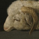 apostaticlamb avatar