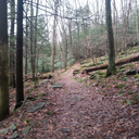 appalachiashow avatar