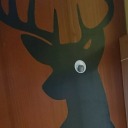 apparently-im-a-deer avatar