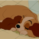 apparentlyaquarius avatar