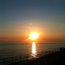 apparentlyconfuddled avatar