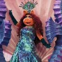 appendectomy-at-claires avatar