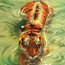 apple-blossombaby avatar