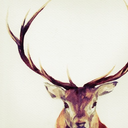 apple-gruyere avatar