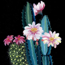 apple-of-myeyes avatar