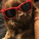 applearticles avatar