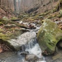 appleblossoms-posts avatar