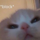 applecaramelcrunch avatar