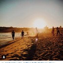 appleforadollar avatar