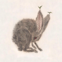 applepieandgoodcoffee avatar