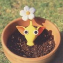 applepikmin avatar