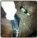 apples-and-fears avatar