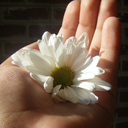 apples-n-bananas avatar